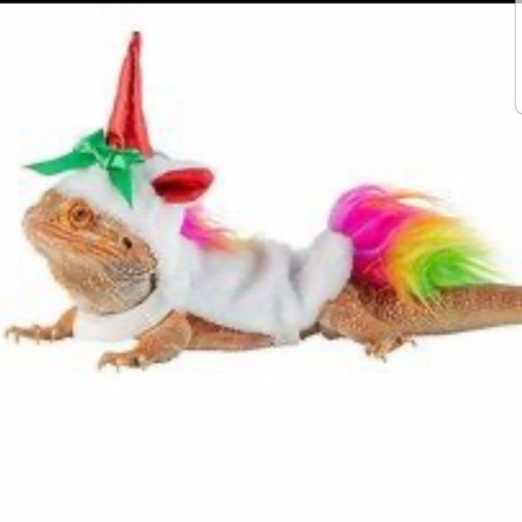 Bearded dragon Chistmas costume set - Picture 4 of 5